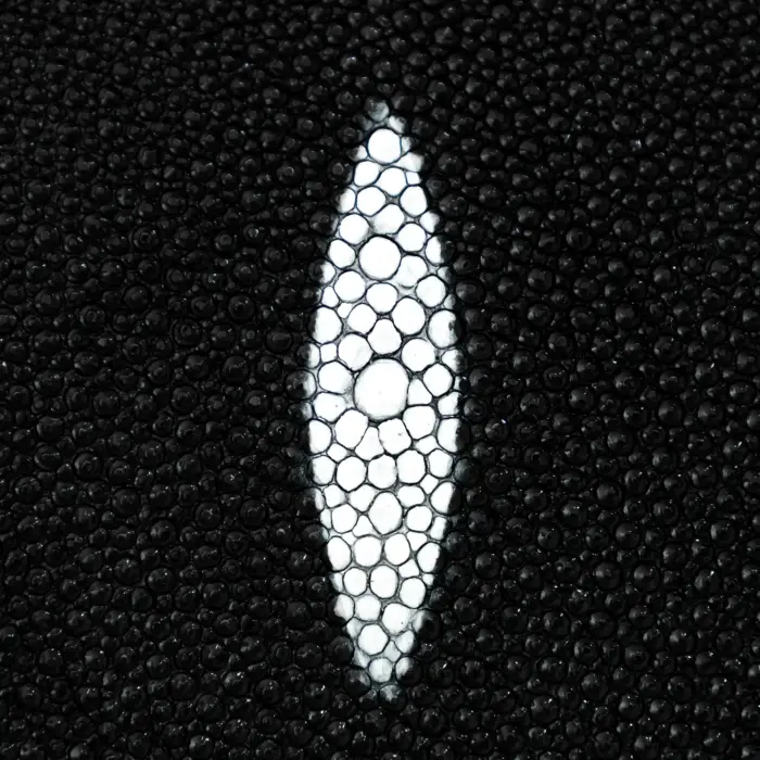 Bolsa Mujer Cuadra BOD1YMA Matarraya - Imagen 5