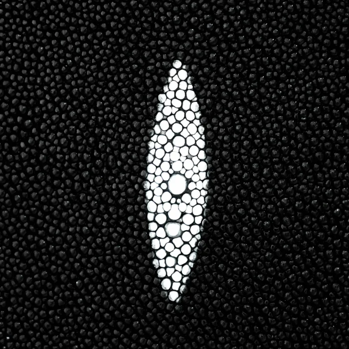 Bolso Hobre Cuadra BOC38MA - Imagen 5